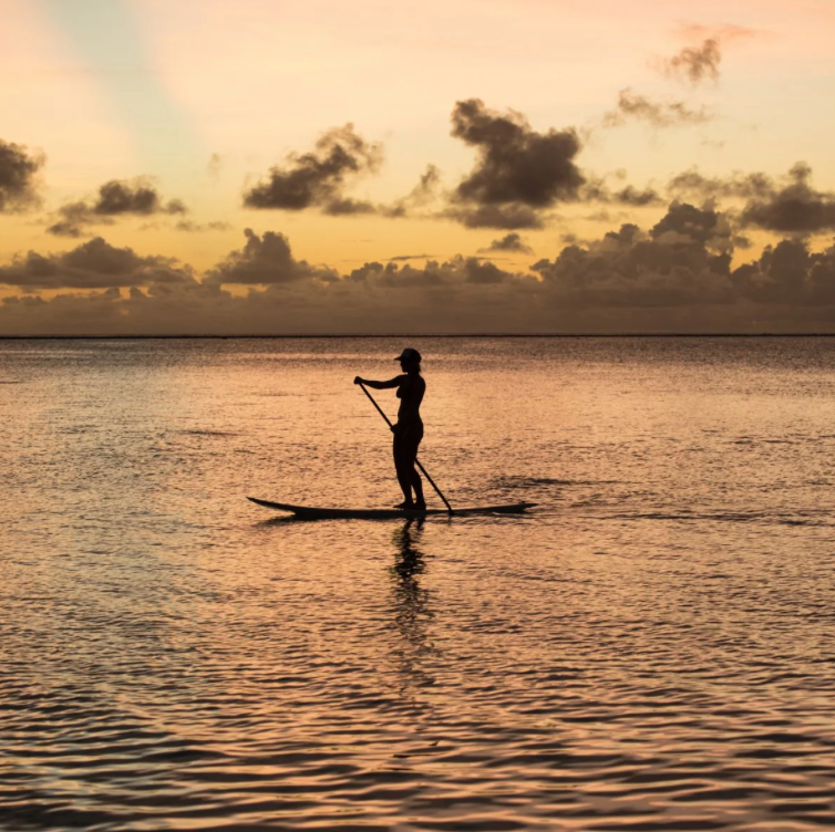 Stand up paddle boards